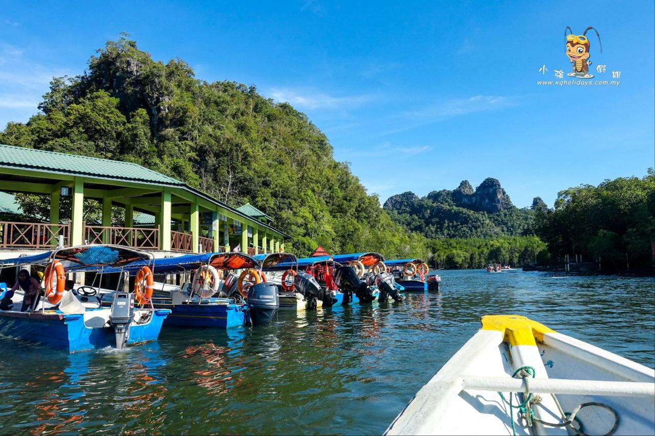 Jelajahi Ekosistem Pesisir yang Menakjubkan dengan Mangrove Tour Langkawi